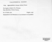 Image Associated With the Occurence